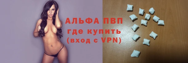 прущие грибы Белоозёрский