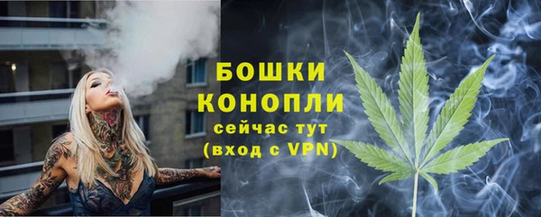 прущие грибы Белоозёрский