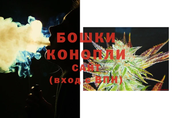 прущие грибы Белоозёрский
