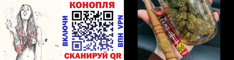 Каннабис план  Шали 